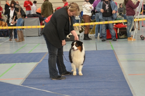 arwin v1 cac bos bob 1. 12. 2012 annaberg 3.jpg